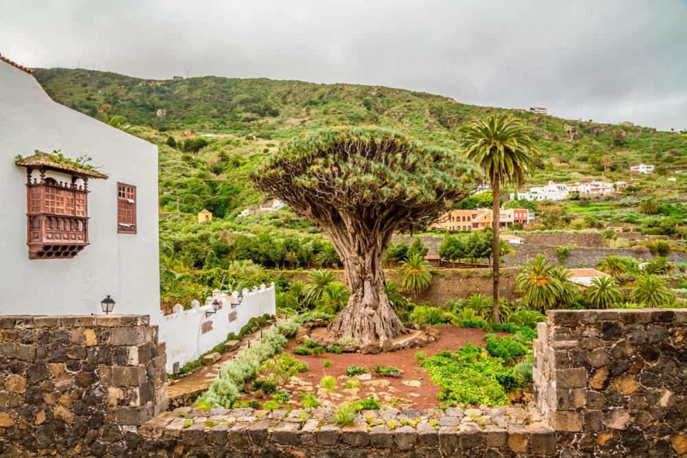 Acogedor Estudio En Playa San Marcos, Icod De Los Vinos Leilighet Eksteriør bilde